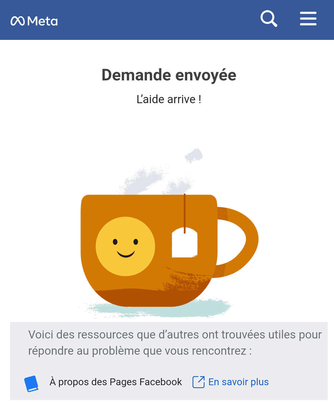 Cette image vous montre ce qui va se passer après avoir envoyé votre message pour débloquer l'URL de votre domaine dans le "Centre d'aide" de Facebook.